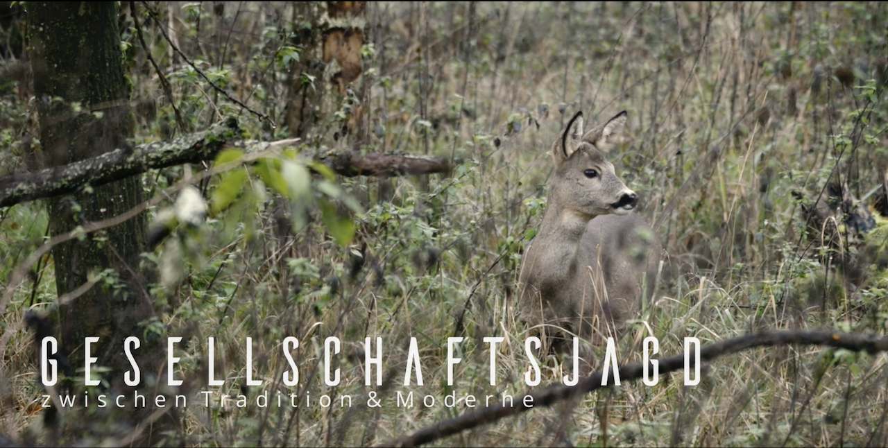 Die Gesellschaftsjagd – Zwischen Tradition und Moderne